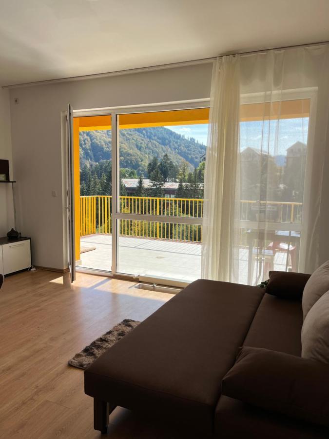 Anissia Apartament Sinaia Exterior foto