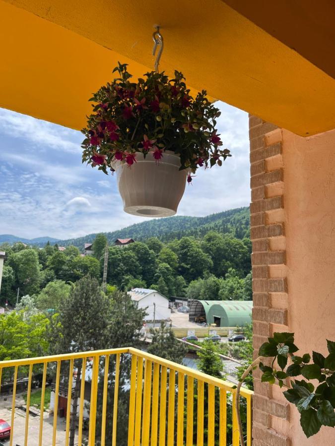 Anissia Apartament Sinaia Exterior foto